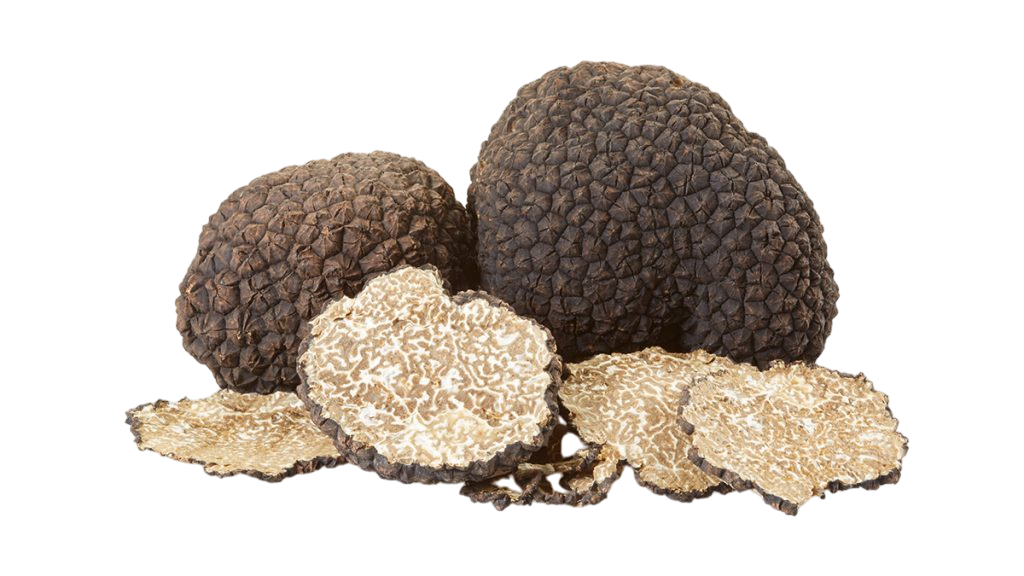 TARTUFO NERO SCORZONE ESTIVO