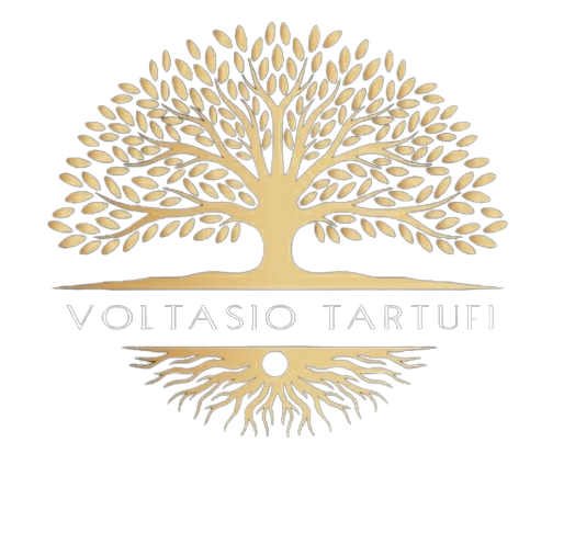 La Storia di Voltasio Tartufi: Un'Eredità di Passione e Eccellenza