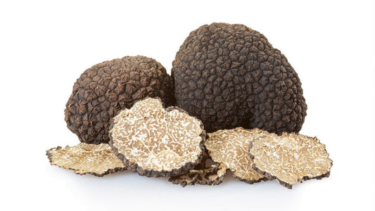 Tartufo Scorzone Nero estivo