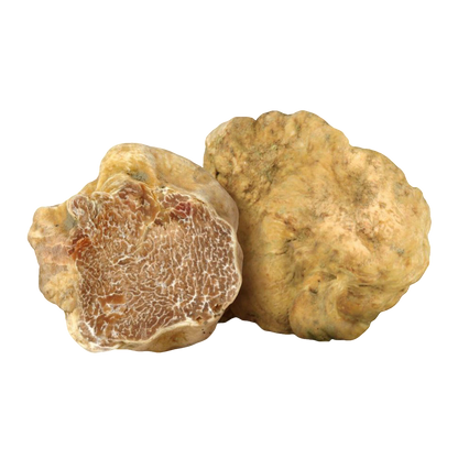 TARTUFO BIANCO FRESCO